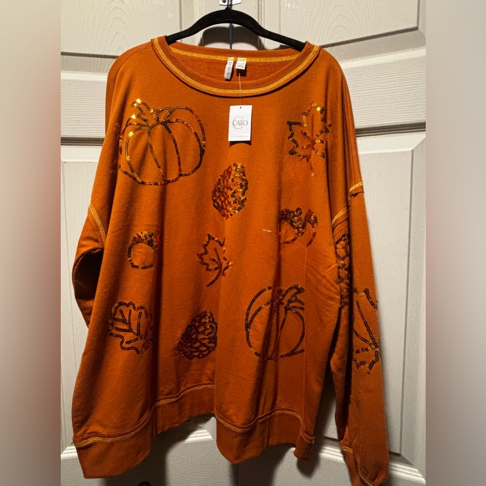 Cato Orange Sweater with Autumn Designs